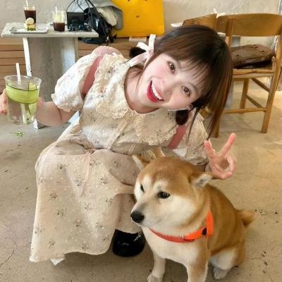 机遇之歌